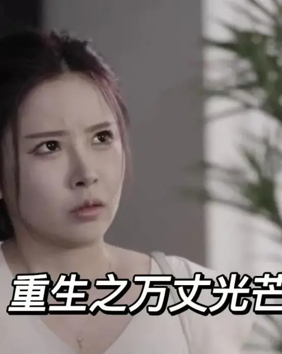 重生之万丈光芒 海报