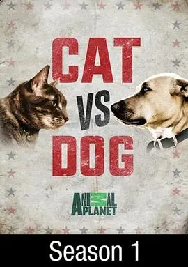 爆笑来袭！《猫狗大战综艺》：萌宠激战，笑料不断！