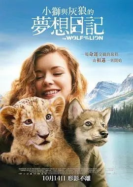 《狼与狮子》：野性与温情的交织，一段跨越物种的治愈之旅