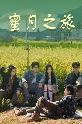 《蜜月之旅》：爱情的考验，甜蜜背后的危机四伏