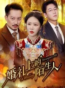 《婚礼上的陌生人》：谎言与真相交织的爱情迷局