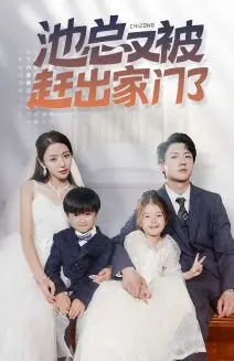《池总又被赶出家门了》：霸道总裁的另类爱情喜剧，笑点与泪点齐飞，看池总如何逆袭！