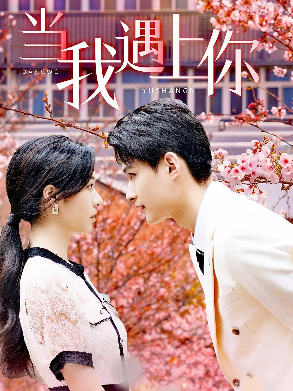 《当我遇上你》：一场关于初恋、梦想与现实的甜蜜交织，唤醒你心底最柔软的悸动！