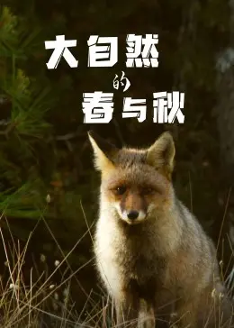《大自然的春与秋》：一部关于生命循环与温情脉脉的视觉诗篇