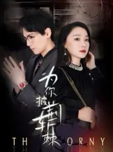 《为你披荆斩棘》：汗水与泪水交织的梦想史诗，看守教练的青春救赎之路